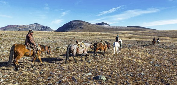 Pack train