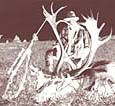 Lehman Creek Outfitters