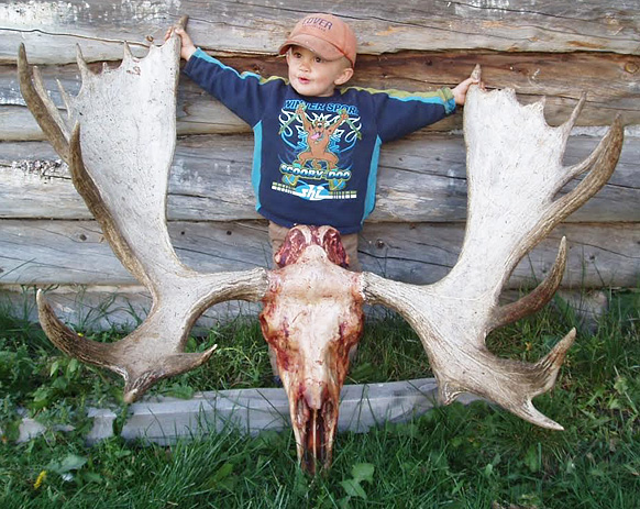 Jackson and the Moose