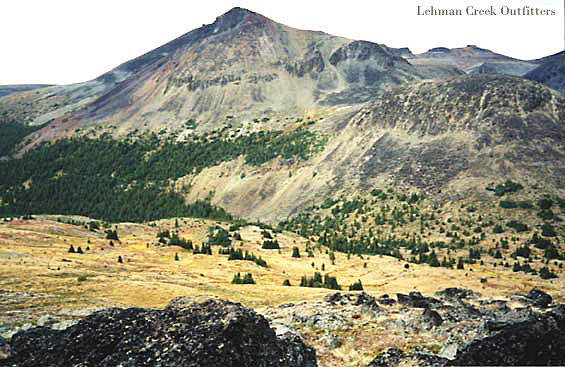 Part of Lehman Creek Hunting Territory